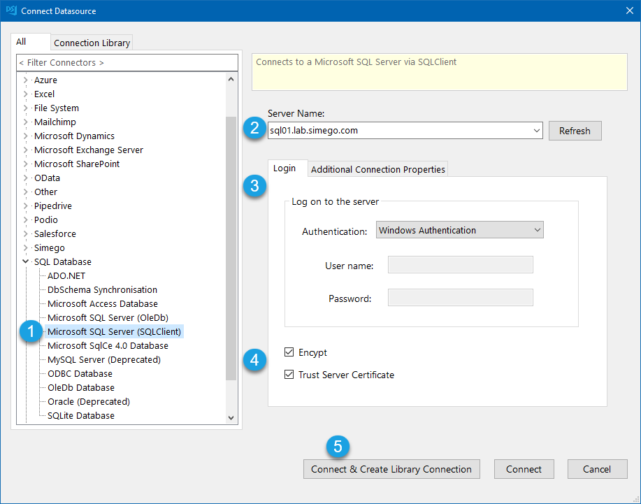 Connect SQL Server